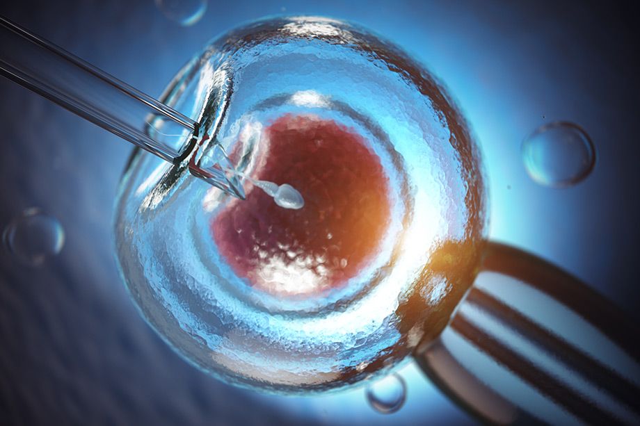Procreazione medicalmente assistita: metodiche di 1°, 2° e 3° livello